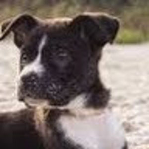 Meet your Posher, Lexi